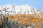 USA, Colorado, Gunnison National Forest. Snow on East Beckwith Mountain and forest in autumn. Art Print